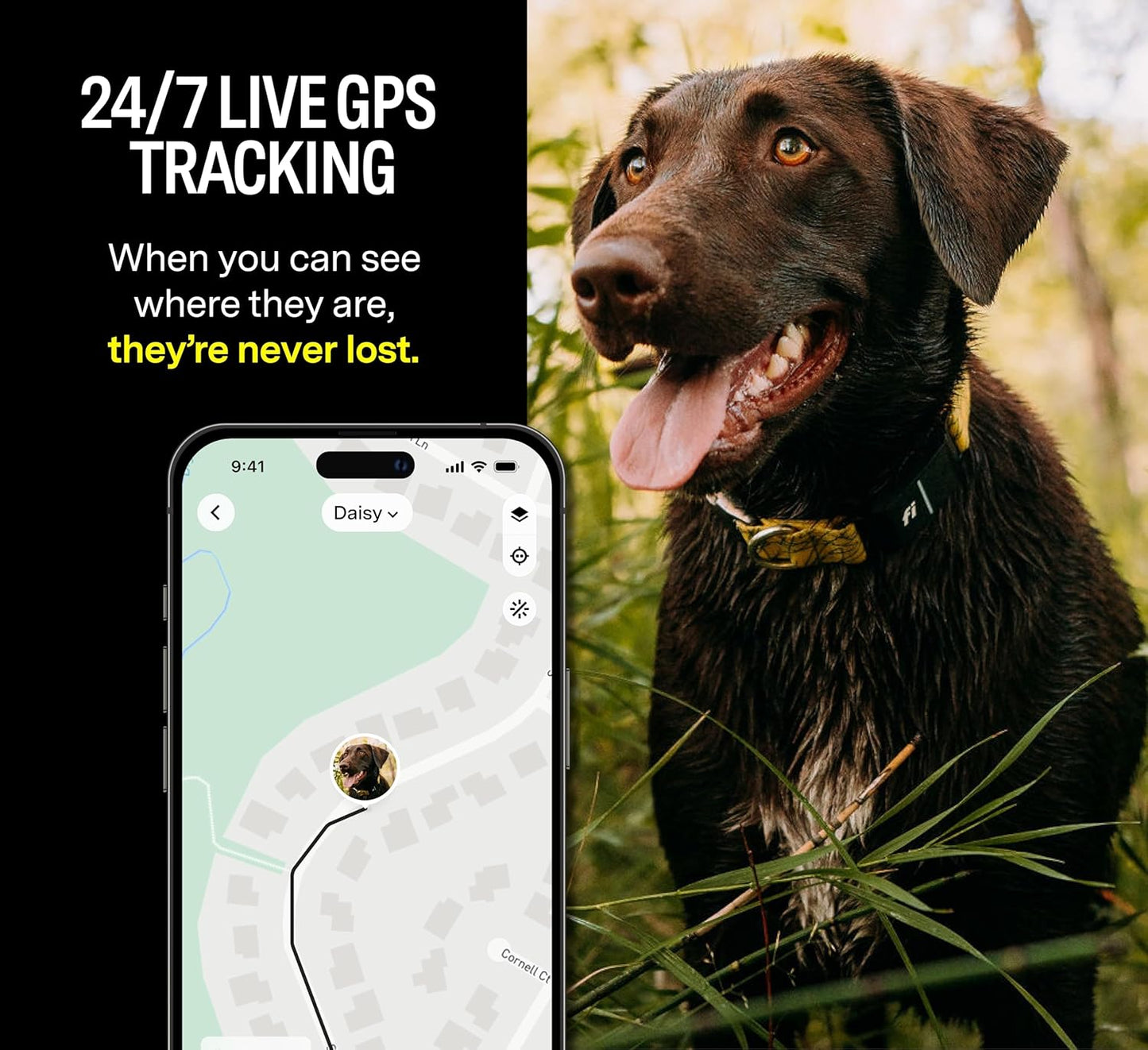 Series 3 Smart Dog Collar - GPS Dog Tracker and Activity & Health Monitor, Waterproof, LED Light, Escape Alerts, Nationwide Coverage [Free 1 Year Membership] (Pink, Small)