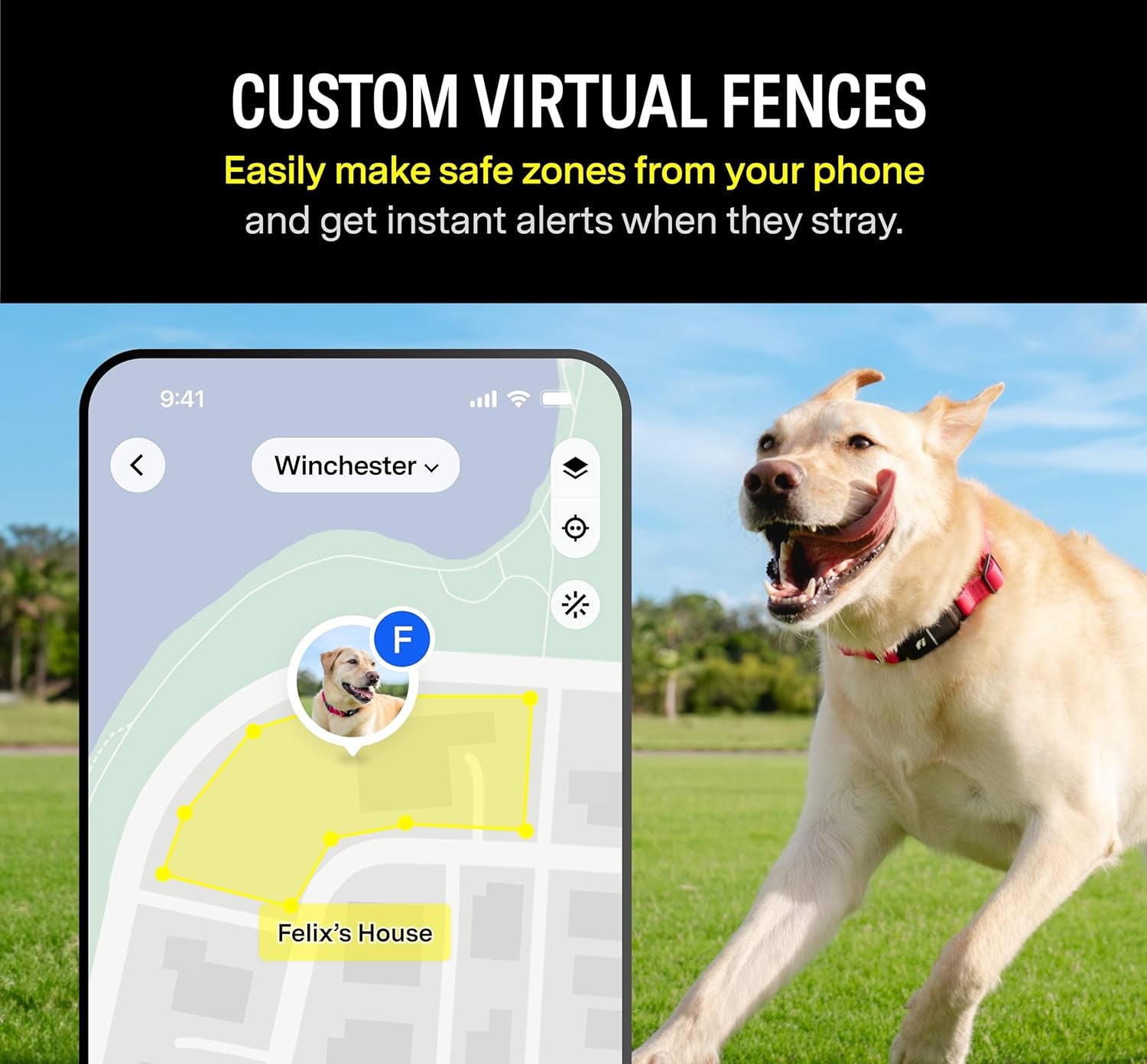 Series 3 Smart Dog Collar - GPS Dog Tracker and Activity & Health Monitor, Waterproof, LED Light, Escape Alerts, Nationwide Coverage [Free 1 Year Membership] (Pink, Small)